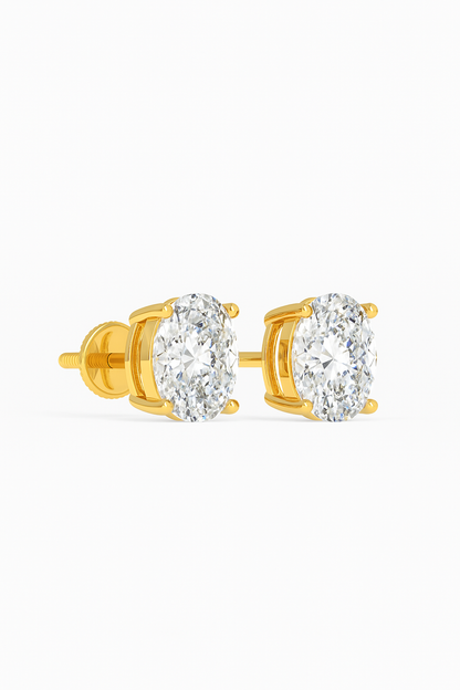 Oval Elegance Studs