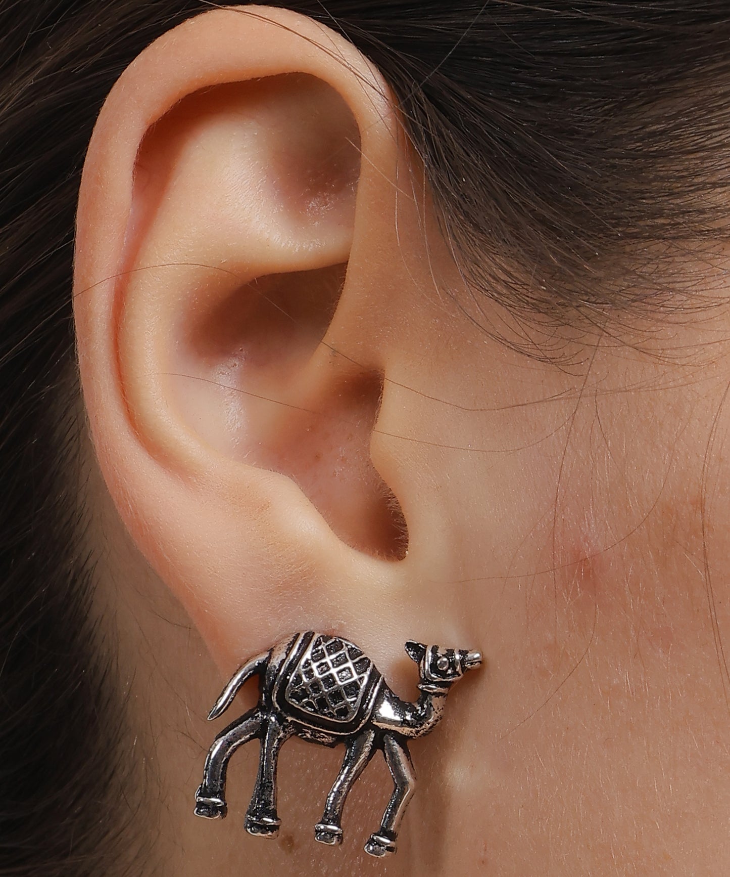 Camel Safari studs